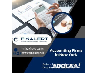 Finalert LLC | Accounting Firms in New York