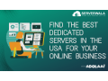 find-the-best-dedicated-servers-in-the-usa-for-your-online-business-small-0
