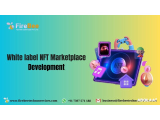 The Best White label NFT Marketplace Development Company - Fire Bee Techno Services