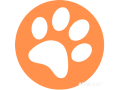 find-pet-grooming-in-chicago-small-0