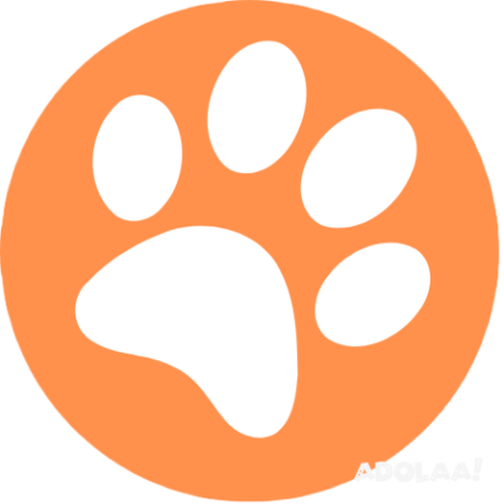 find-pet-grooming-in-chicago-big-0