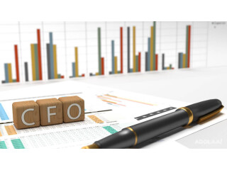 Expert Fractional CFO Services in Houston