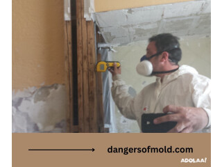 Commercial Mold Removal & Remediation Service