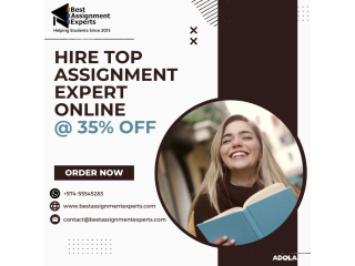 Hire Top Assignment Expert Online