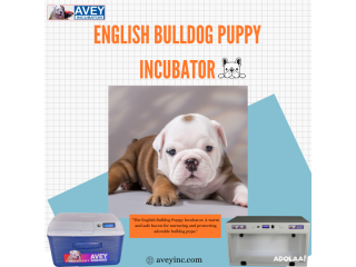 Enhance Your Breeding Program with Our Premium French Bulldog puppy Incubator!
