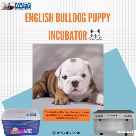 enhance-your-breeding-program-with-our-premium-french-bulldog-puppy-incubator-big-0