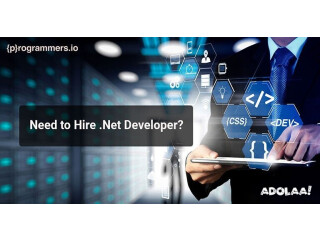 Hire Dedicated .Net Developers in USA | Best ASP Dot Net Development Company