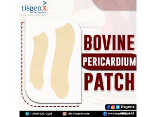 Bovine Pericardium Patch