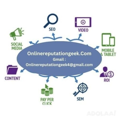 digital-marketing-agency-in-usa-online-reputation-geek-big-0